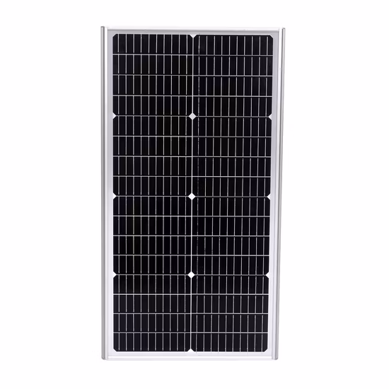 60W OEM Wholesale All-in-One Integrated Outdoor Solar LED Street Garden Light with Motion Sensor Solar Products